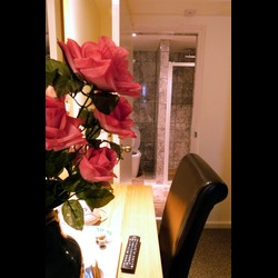 Flowers In the Room - Aspland House